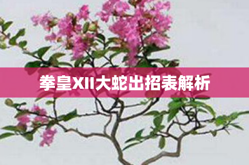 拳皇XII大蛇出招表解析图片