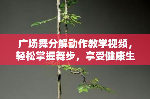 广场舞分解动作教学视频图片