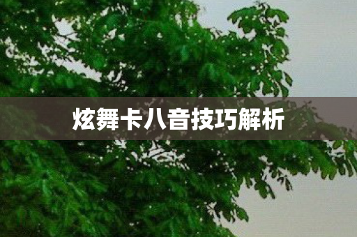 炫舞卡八音技巧解析图片