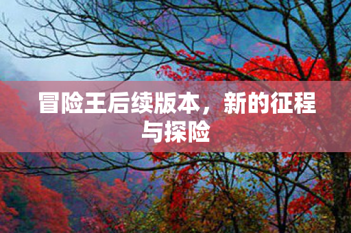 冒险王后续版本图片
