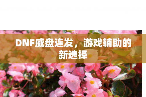 游戏辅助的新选择图片