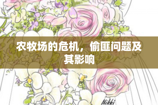 偷匪问题及其影响图片