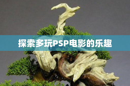 探索多玩PSP电影的乐趣图片