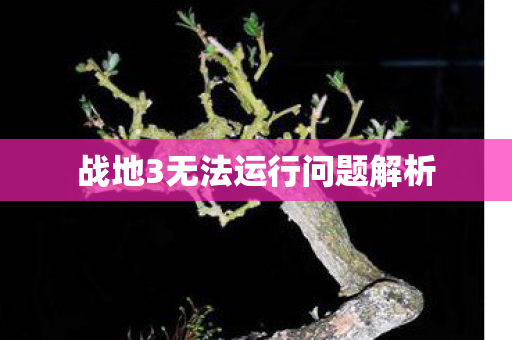 战地3无法运行问题解析图片