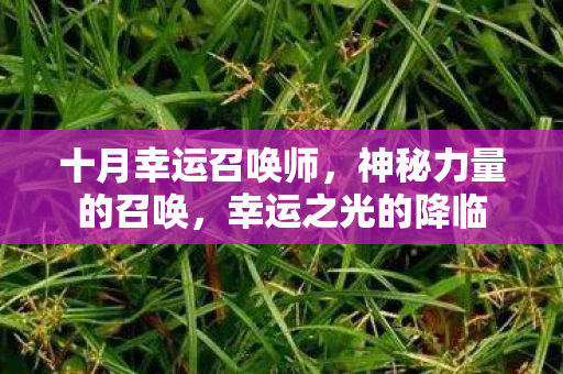 十月幸运召唤师图片