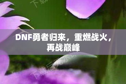 DNF勇者归来图片