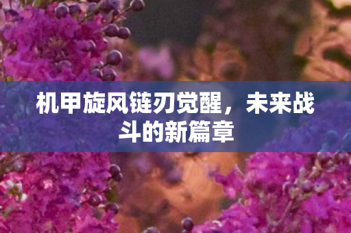 机甲旋风链刃觉醒图片