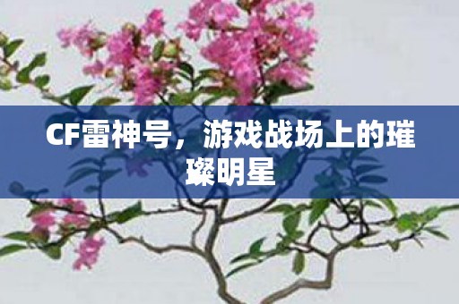 游戏战场上的璀璨明星图片