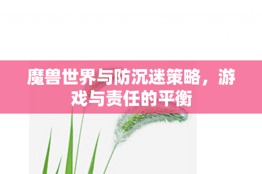 魔兽世界与防沉迷策略图片