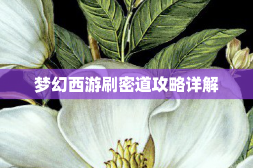 梦幻西游刷密道攻略详解图片