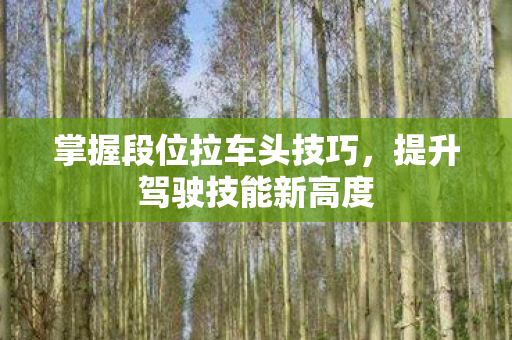 掌握段位拉车头技巧图片