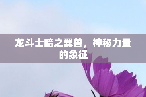 龙斗士暗之翼兽图片