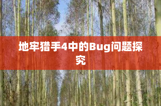 地牢猎手4中的Bug问题探究图片