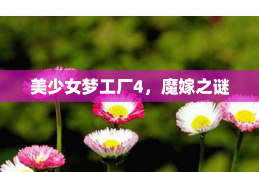 美少女梦工厂4图片
