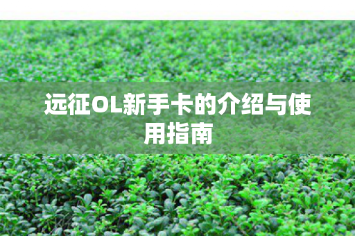 远征OL新手卡的介绍与使用指南图片