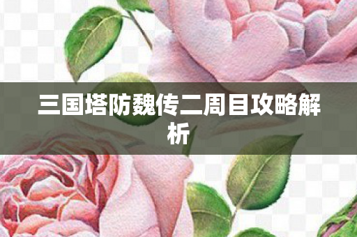 三国塔防魏传二周目攻略解析图片