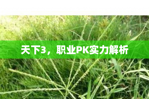 职业PK实力解析图片