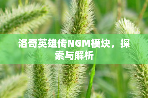 洛奇英雄传NGM模块图片