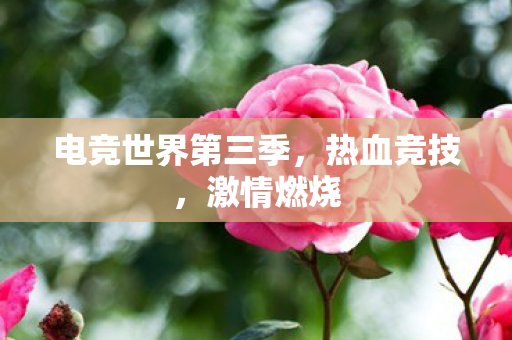 电竞世界第三季图片