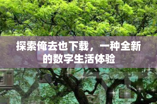 一种全新的数字生活体验图片