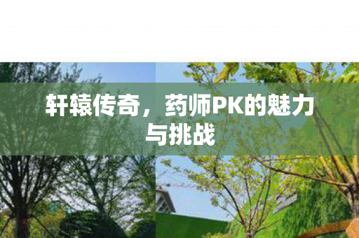 药师PK的魅力与挑战图片