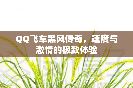 速度与激情的极致体验图片