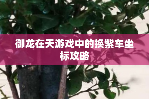 御龙在天游戏中的换紫车坐标攻略图片