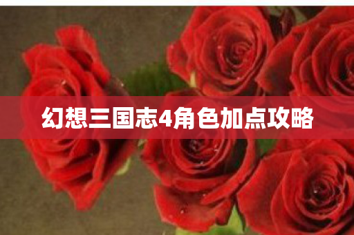 幻想三国志4角色加点攻略图片