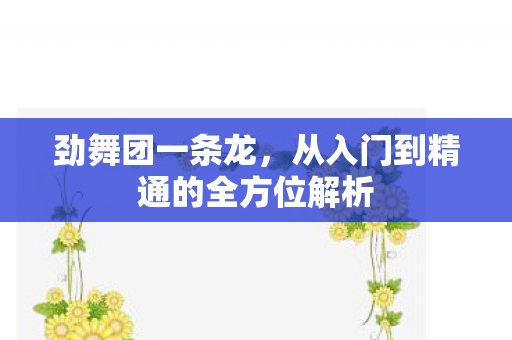 从入门到精通的全方位解析图片