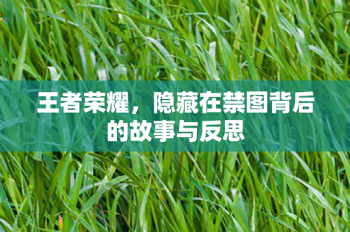 隐藏在禁图背后的故事与反思图片