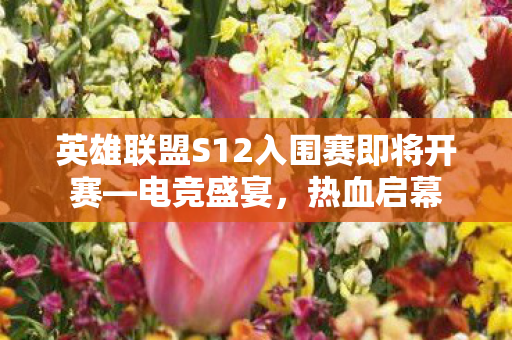 英雄联盟S12入围赛即将开赛图片
