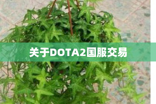 关于DOTA2国服交易图片