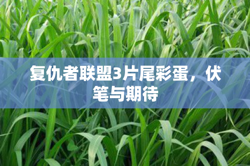复仇者联盟3片尾彩蛋图片