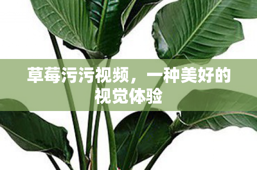 一种美好的视觉体验图片