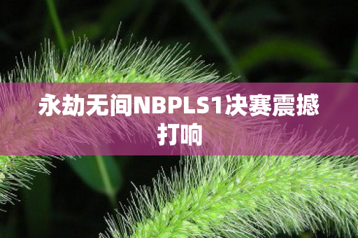 永劫无间NBPLS1决赛震撼打响图片