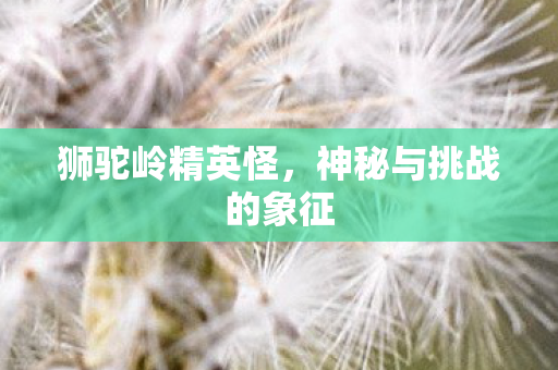神秘与挑战的象征图片