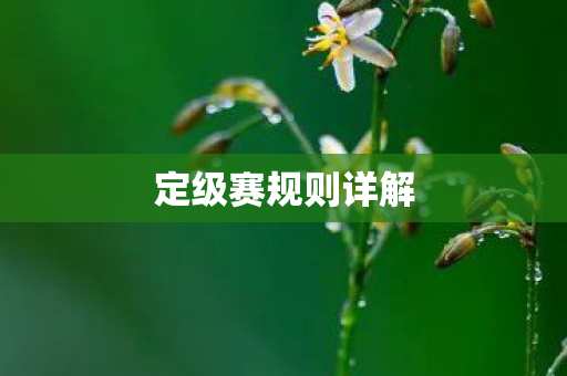 定级赛规则详解图片