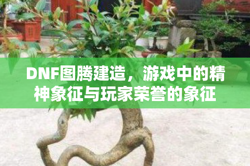 游戏中的精神象征与玩家荣誉的象征图片