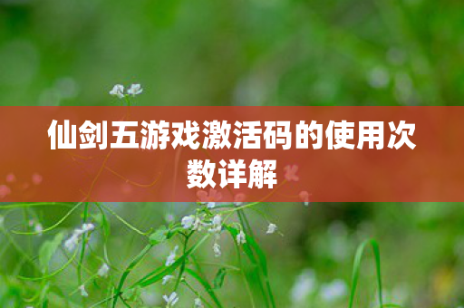 仙剑五游戏激活码的使用次数详解图片
