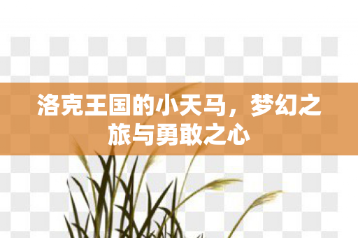 梦幻之旅与勇敢之心图片