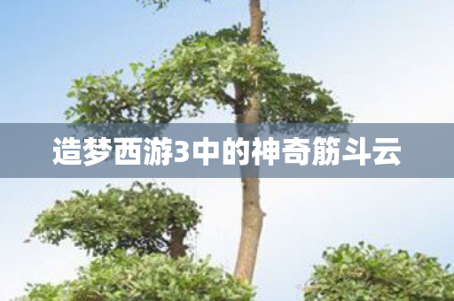 造梦西游3中的神奇筋斗云图片