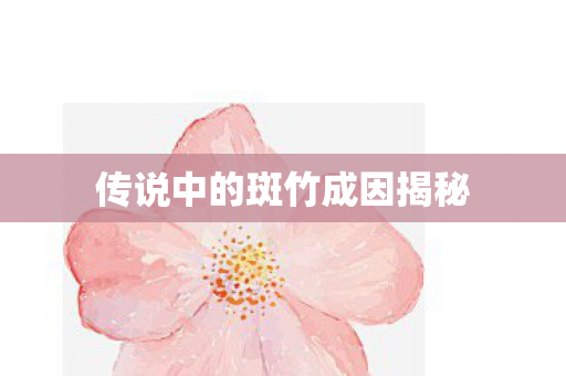 传说中的斑竹成因揭秘图片