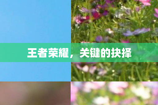 关键的抉择图片