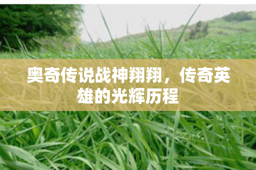 传奇英雄的光辉历程图片