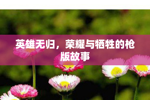 荣耀与牺牲的枪版故事图片