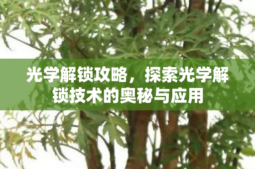 探索光学解锁技术的奥秘与应用图片
