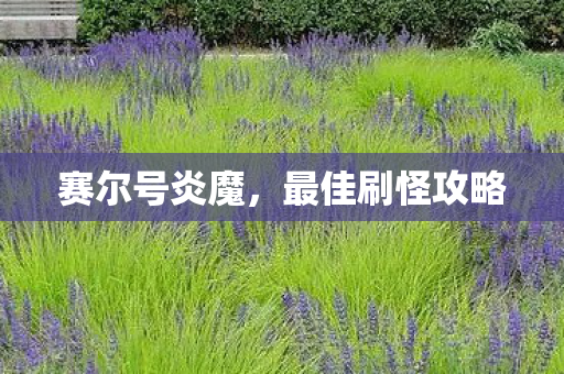 最佳刷怪攻略图片