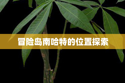 冒险岛南哈特的位置探索图片