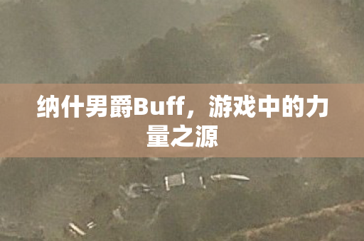 纳什男爵Buff图片