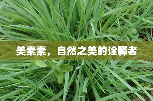 自然之美的诠释者图片